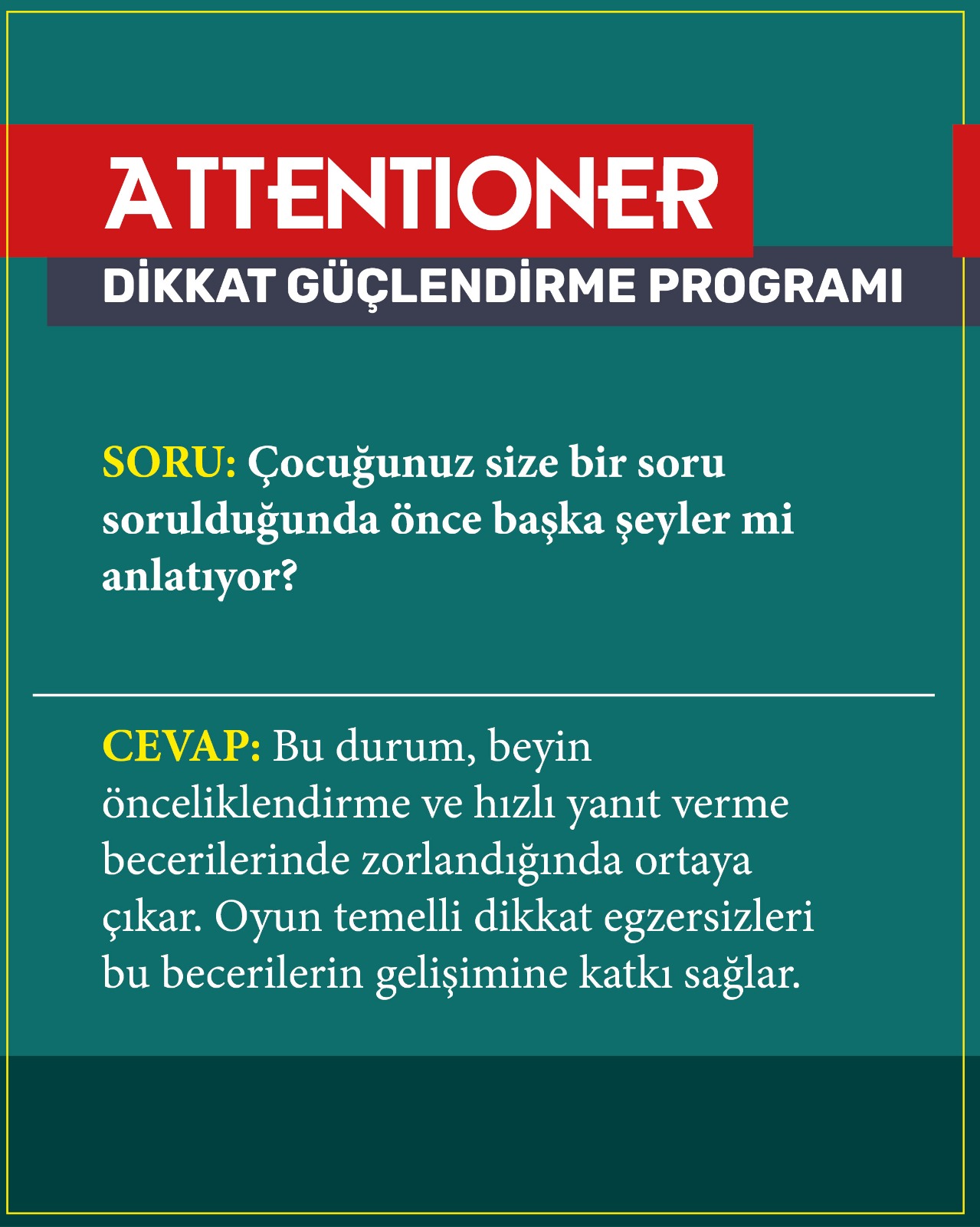 WhatsApp Image 2026-02-17 at 14.55.51 (1)