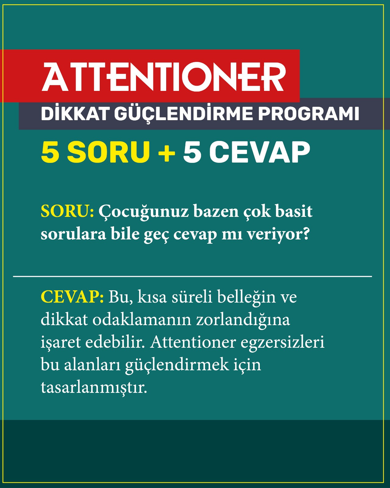 WhatsApp Image 2026-02-17 at 14.55.51