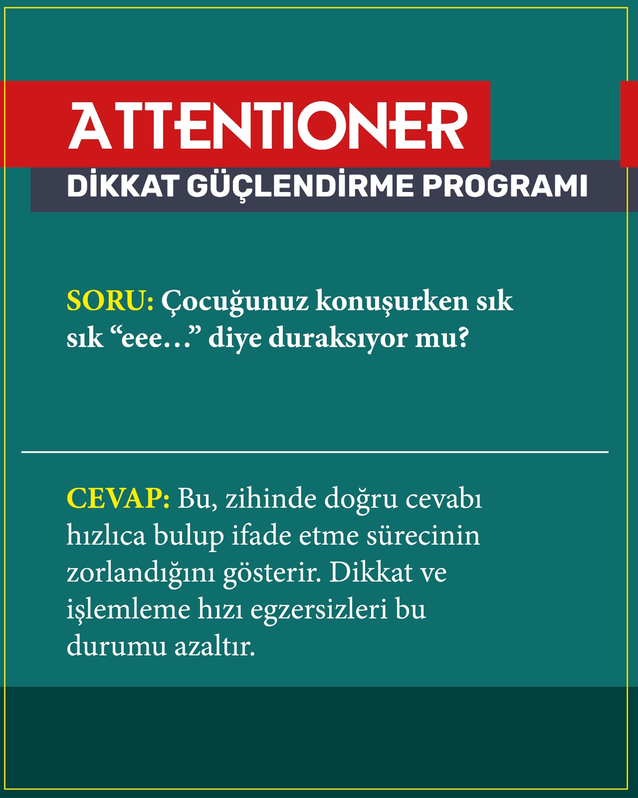 WhatsApp Image 2026-02-17 at 14.55.52 (1)