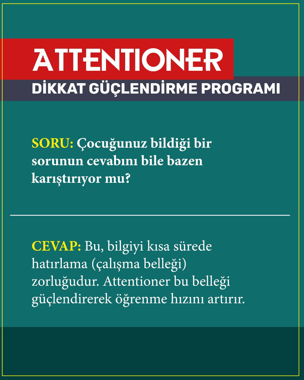 WhatsApp Image 2026-02-17 at 14.55.52