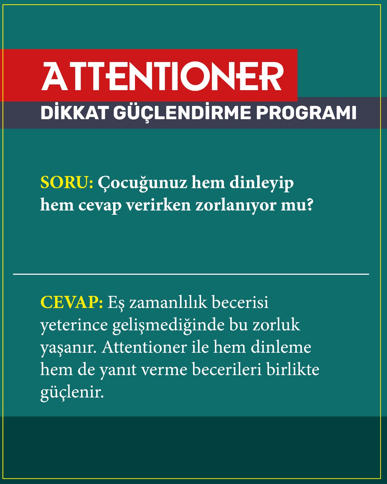 WhatsApp Image 2026-02-17 at 14.55.53